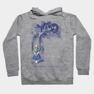 Alice and the Cheshire Cat Hoodie